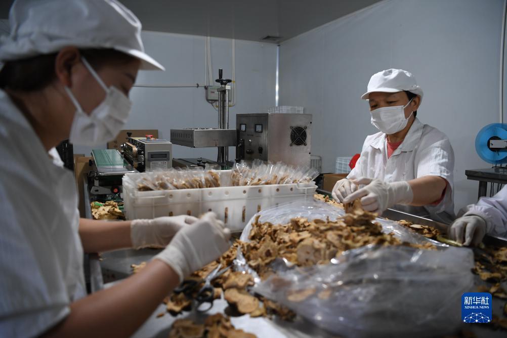 千金棋牌游戏